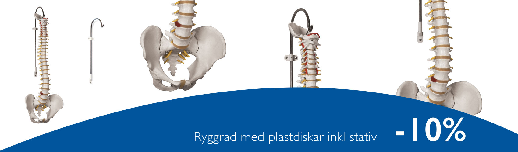 medema-banner-1700x500-3-10-25.jpg